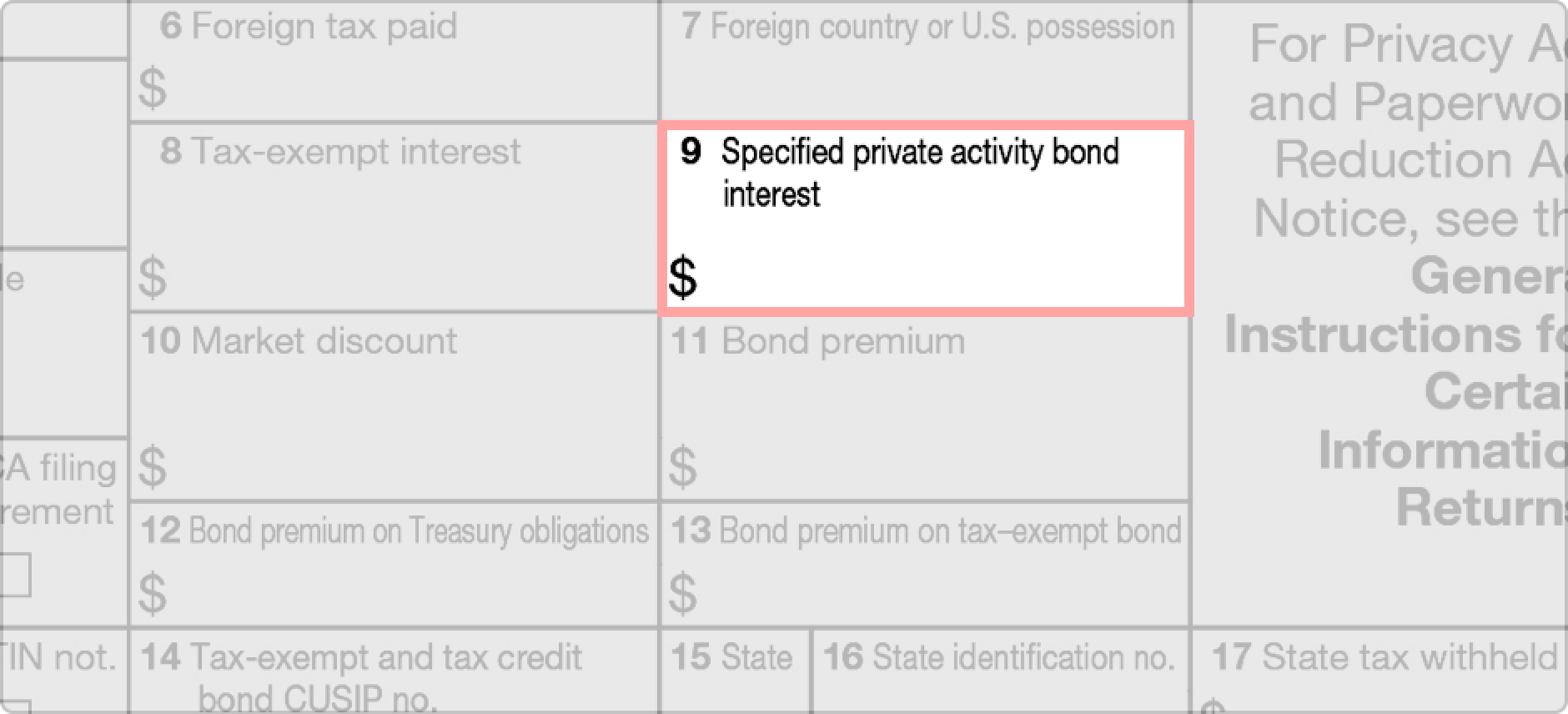 Specified Private Activity Bond Interest