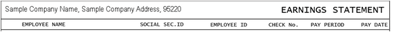 contents of a pay stub - company information