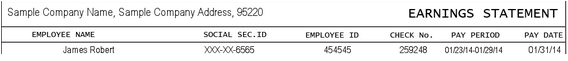 contents of a pay stub - employee information