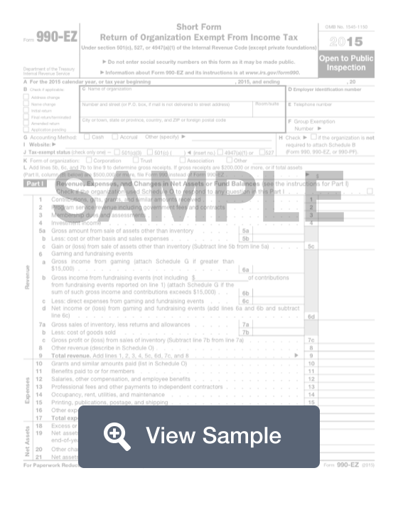 Fillable IRS Form 990-EZ | Free Printable PDF Sample | FormSwift