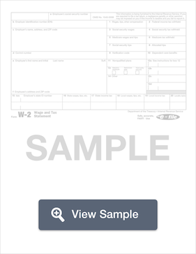 Employee Earnings Record Excel Template